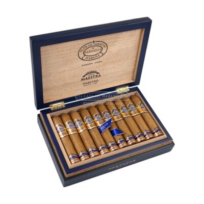 Partagás Línea Maestra Maestro – Box of 20 Cigars - Image 4