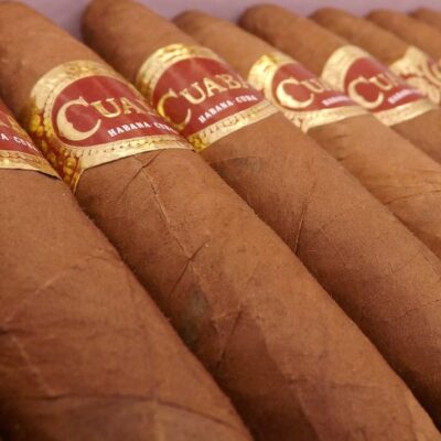 Cuaba Divinos – Cuban Cigar (Box of 25) - Image 2