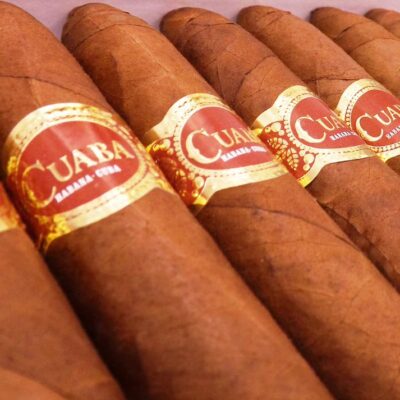 Cuaba Salomones – Cuban Cigar (Box of 10) - Image 3