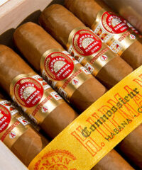 H. Upmann Connossieur A – Box of 25