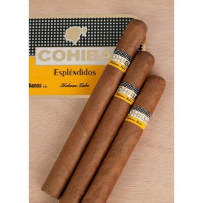 Cohiba Espléndidos – Box of 25 Cigars - Image 2