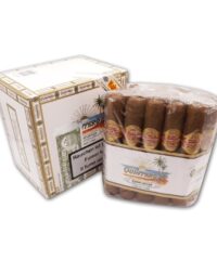 Quintero Favoritos Tubos – Box of 25