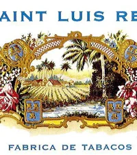Saint Luis Rey